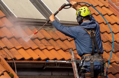 Démoussage et hydrofuge de toiture à Bussac-Forêt